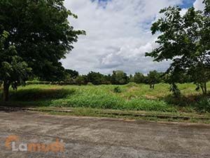 Land for Sale in San Pedro Laguna